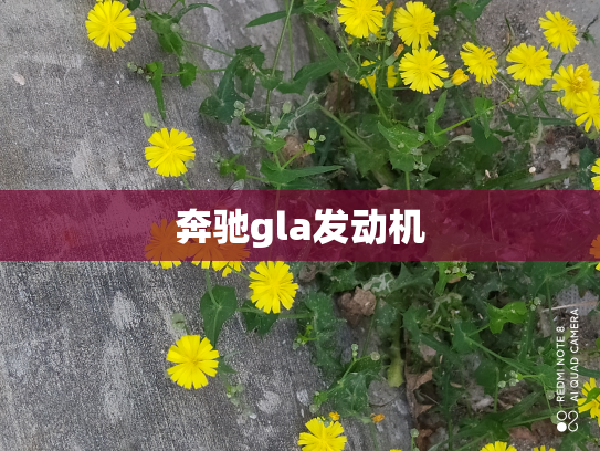 奔驰gla发动机