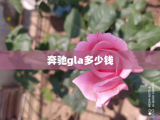 奔驰gla多少钱