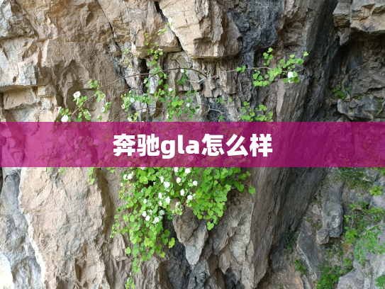 奔驰gla怎么样