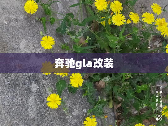 奔驰gla改装