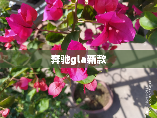 奔驰gla新款