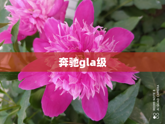 奔驰gla级