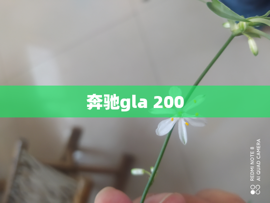 奔驰gla 200