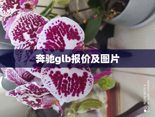 奔驰glb报价及图片
