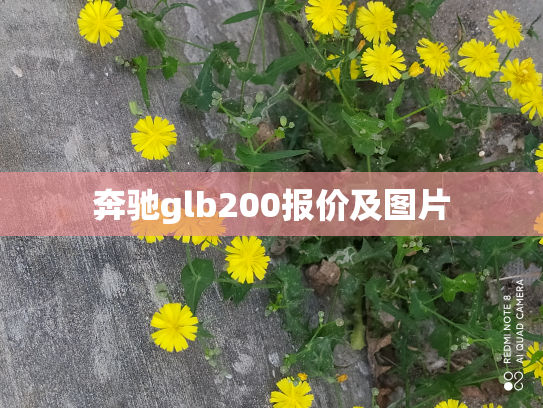 奔驰glb200报价及图片