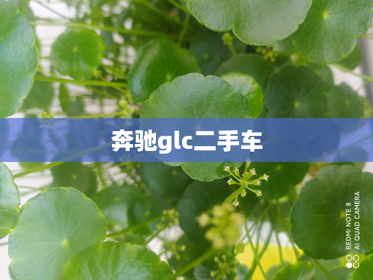 奔驰glc二手车