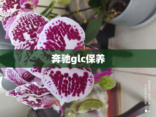 奔驰glc保养
