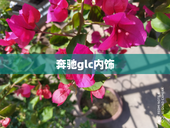 奔驰glc内饰