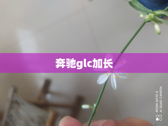 奔驰glc加长