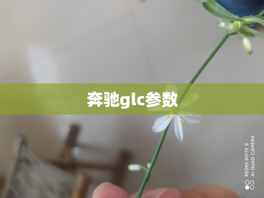 奔驰glc参数