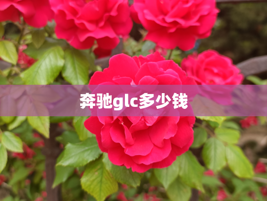 奔驰glc多少钱