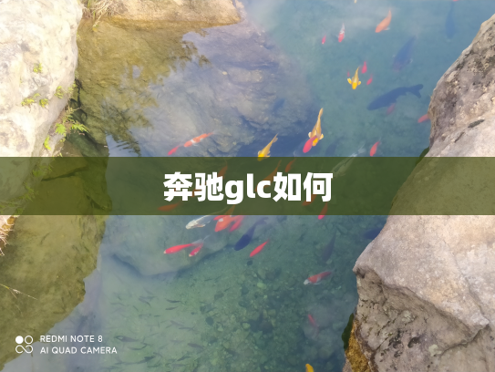 奔驰glc如何