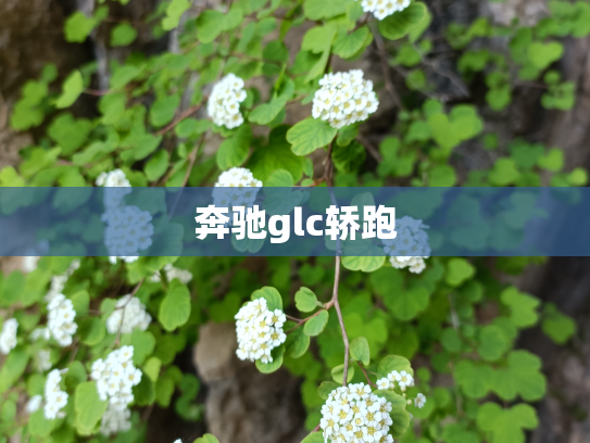奔驰glc轿跑