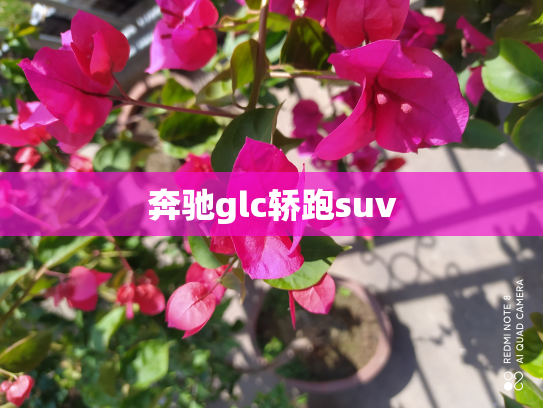 奔驰glc轿跑suv