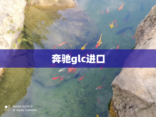 奔驰glc进口