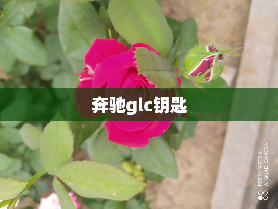 奔驰glc钥匙