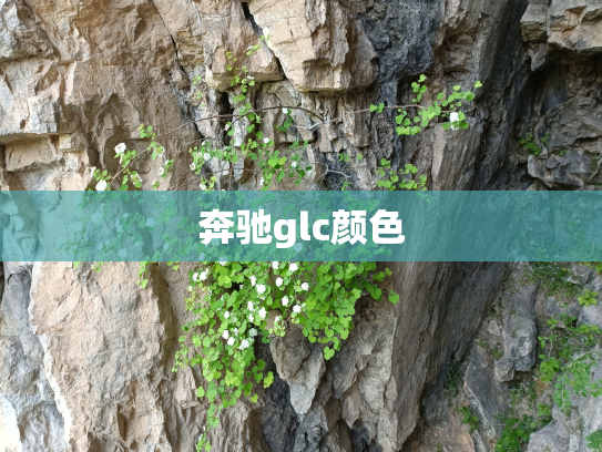 奔驰glc颜色