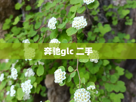奔驰glc 二手