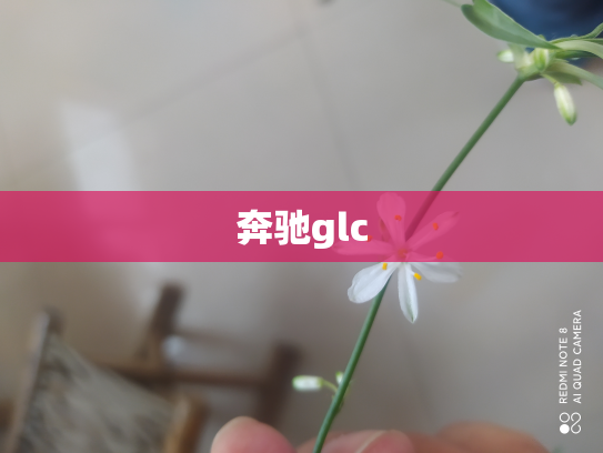 奔驰glc