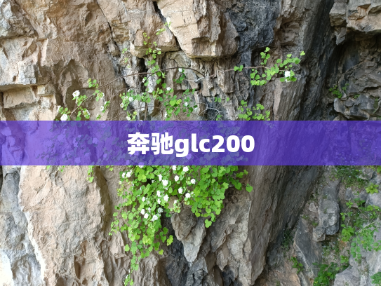 奔驰glc200