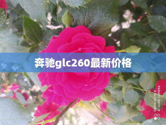 奔驰glc260最新价格