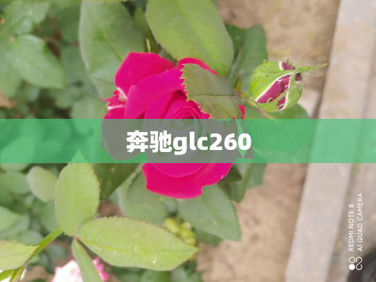 奔驰glc260