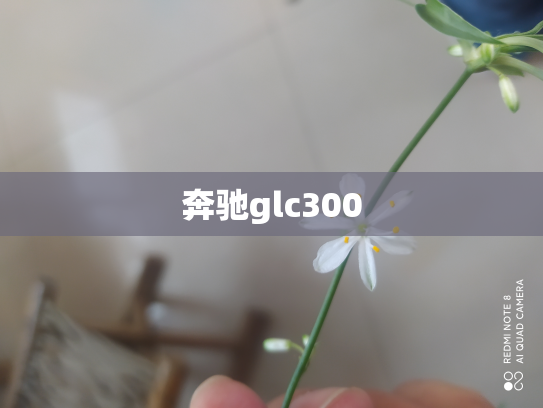 奔驰glc300