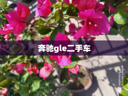 奔驰gle二手车