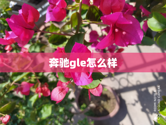 奔驰gle怎么样