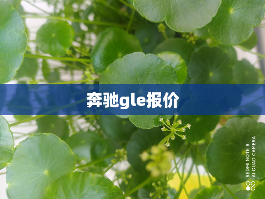 奔驰gle报价