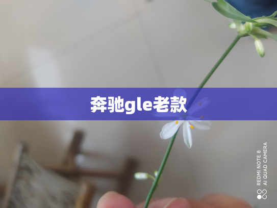 奔驰gle老款