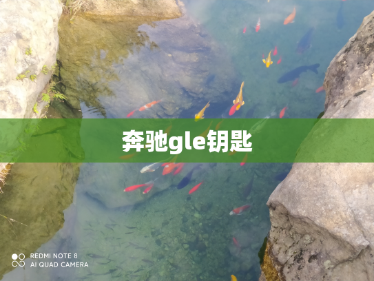 奔驰gle钥匙