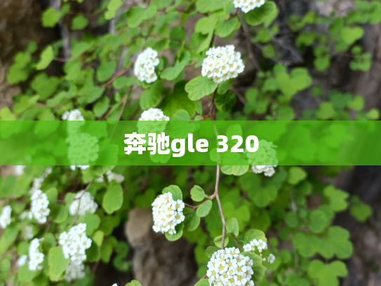 奔驰gle 320