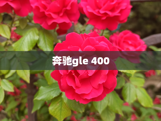 奔驰gle 400