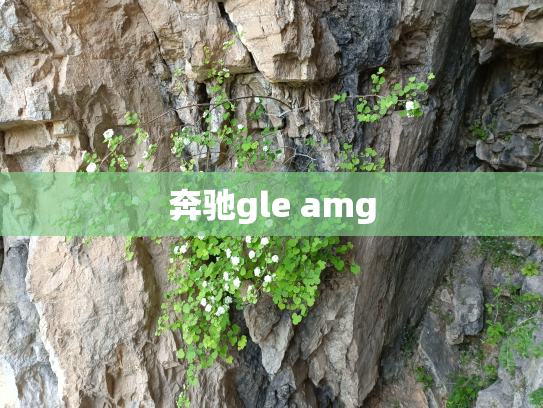 奔驰gle amg