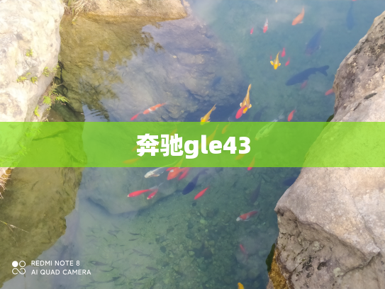 奔驰gle43