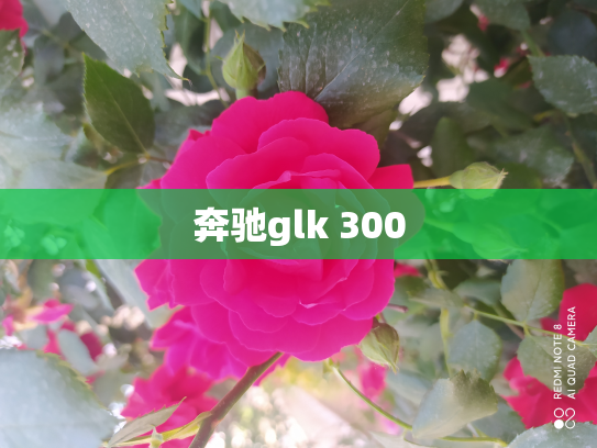 奔驰glk 300