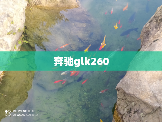 奔驰glk260