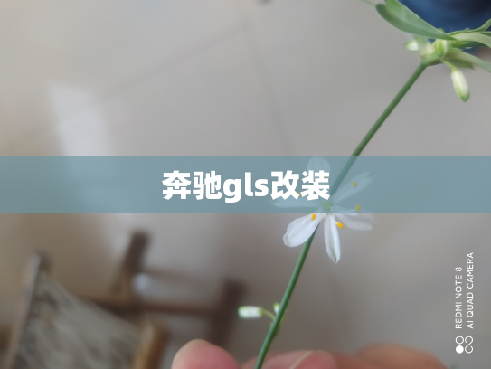 奔驰gls改装