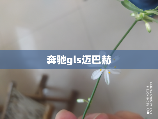 奔驰gls迈巴赫