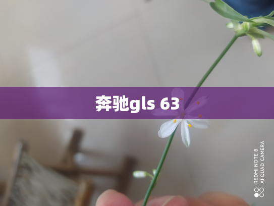 奔驰gls 63