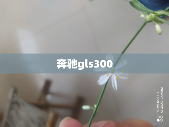 奔驰gls300