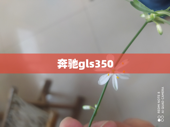 奔驰gls350