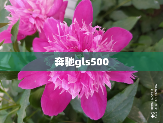 奔驰gls500