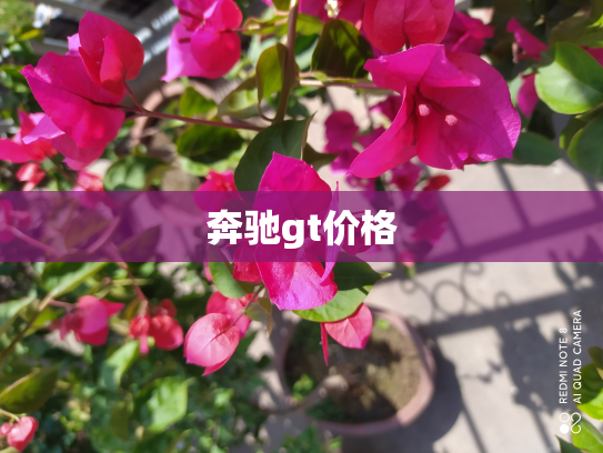 奔驰gt价格