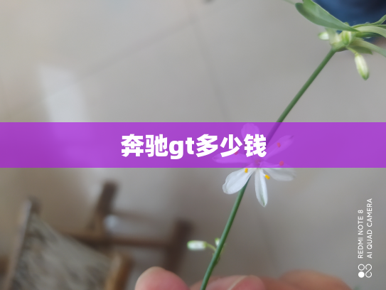 奔驰gt多少钱