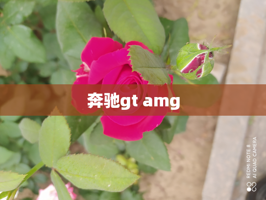 奔驰gt amg