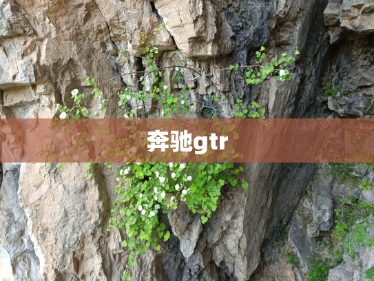 奔驰gtr