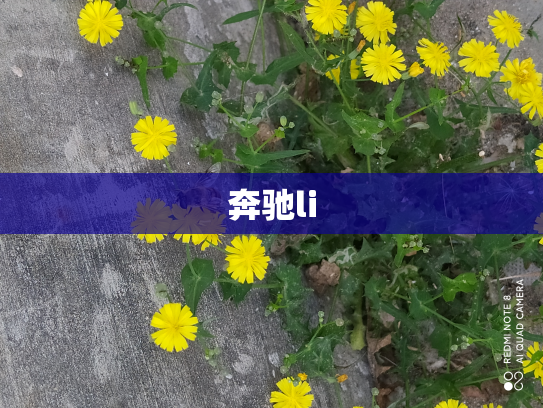 奔驰li