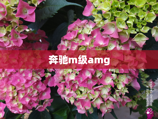 奔驰m级amg